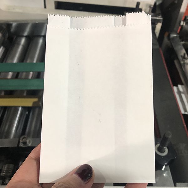 Machine de fabrication de sacs en papier, plats et sachets papier plats (type général)